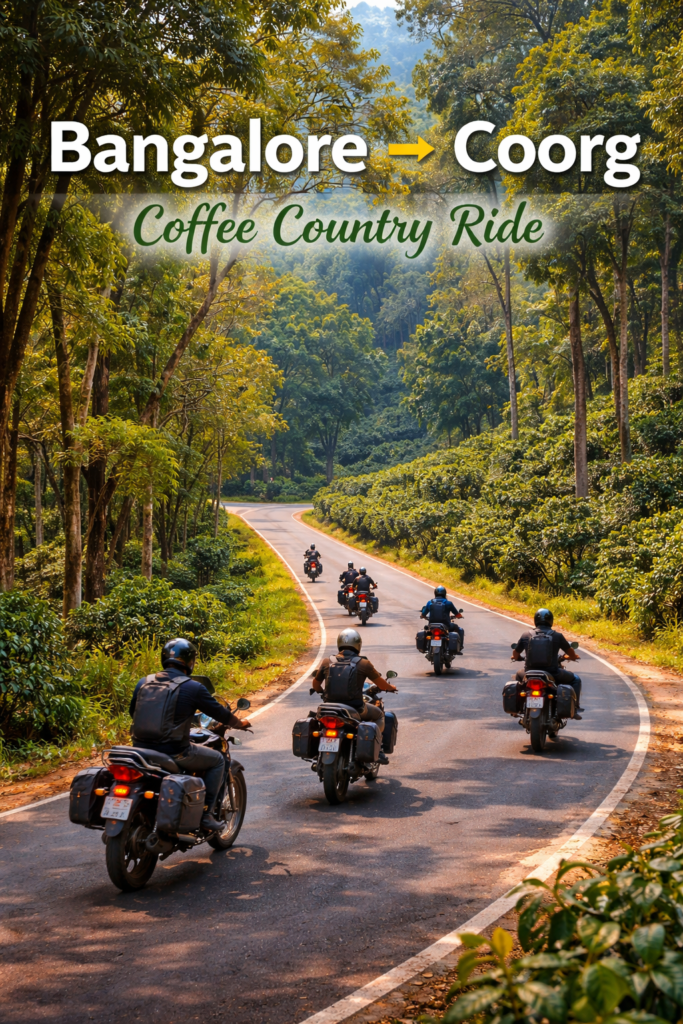 biking through coorg's coffee plantations
